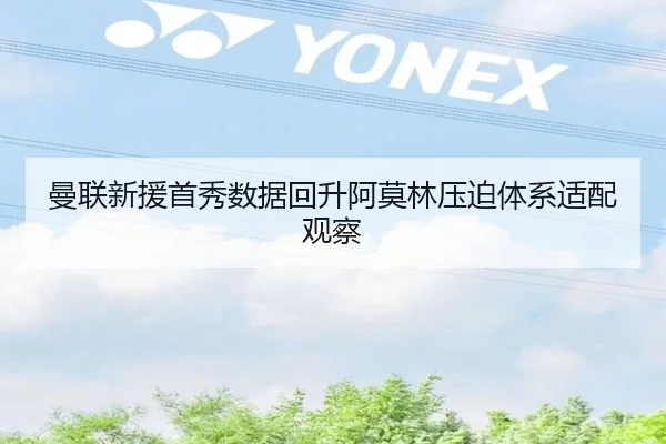 曼联新援首秀数据回升阿莫林压迫体系适配观察