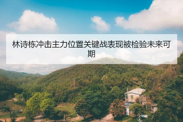 林诗栋冲击主力位置关键战表现被检验未来可期